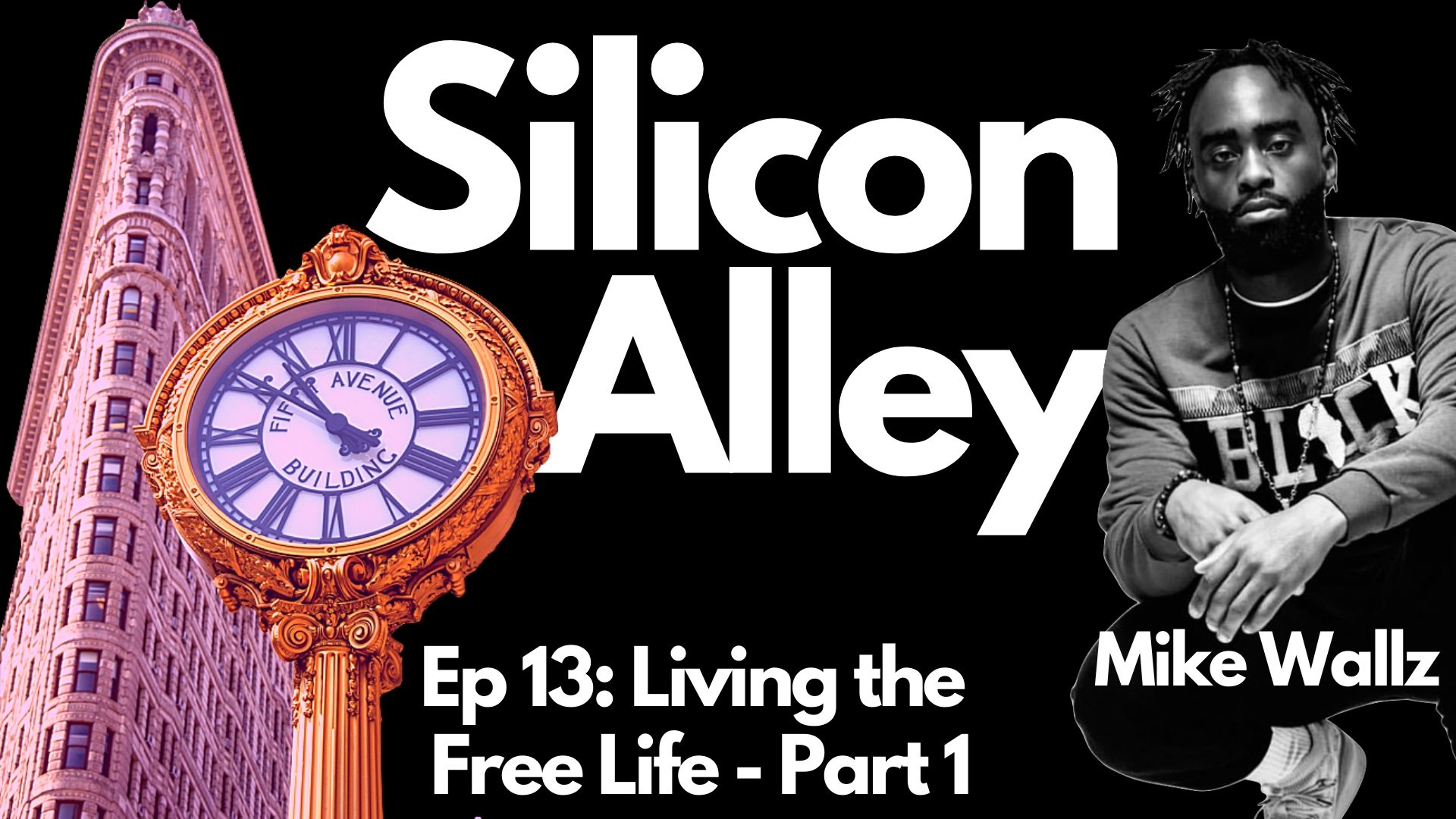 Living The Free Life with Mike Wallz Part 1 - Silicon Alley Podcast Cover