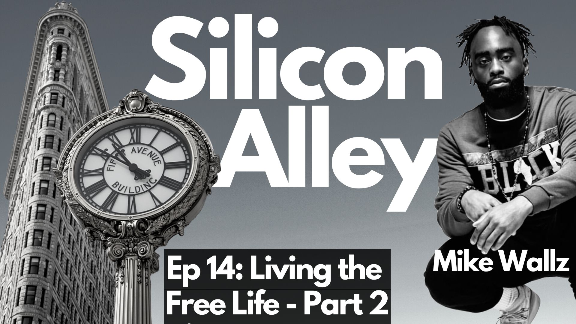 Living The Free Life with Mike Wallz Part 2 Silicon Alley Podcast Cover Art