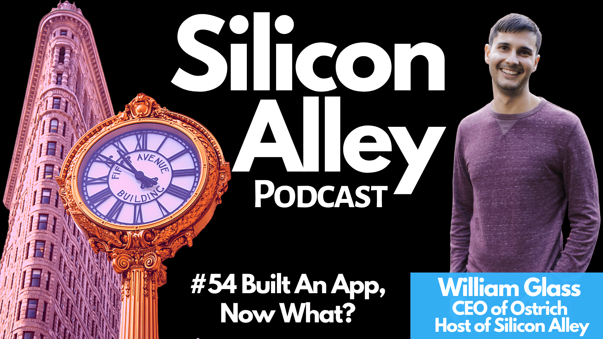 Ep 54 Built an App, now what? Silicon Alley Podcast with William Glass CEO of Ostrich